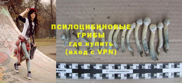 a pvp Медвежьегорск