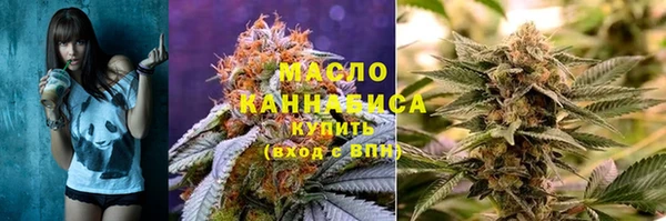 крисы Медногорск