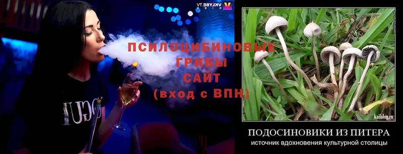 Псилоцибиновые грибы Magic Shrooms  как найти закладки  MEGA онион  Ржев 