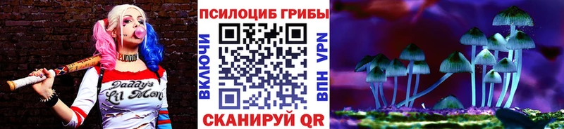 omg онион  купить наркотик  дарк нет формула  Псилоцибиновые грибы прущие грибы  Ржев 