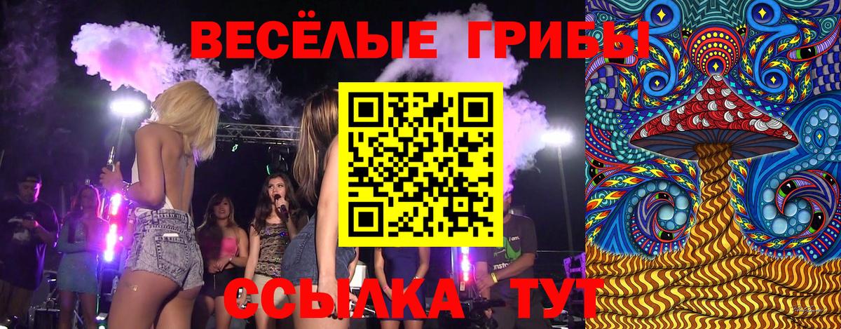 Галлюциногенные грибы ЛСД Ржев