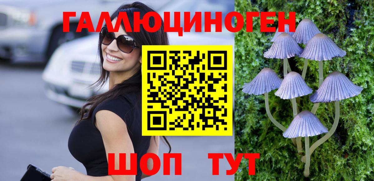 Псилоцибиновые грибы Cubensis  Псилоцибиновые грибы MAGIC MUSHROOMS  Ржев  Вход с VPN 