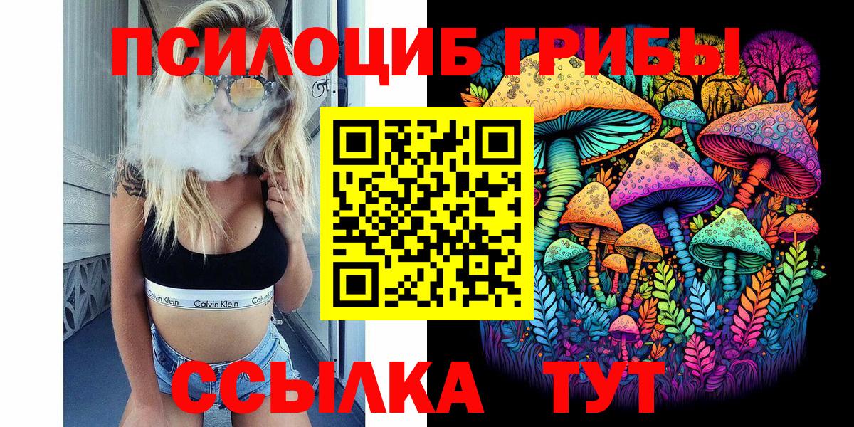 Псилоцибиновые грибы Psilocybine cubensis  Ржев 